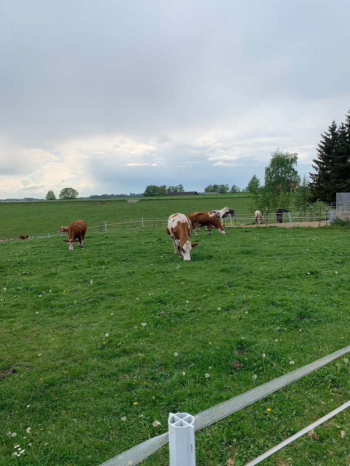 ����� ��������� ��������, �������, �����, �������, ����������