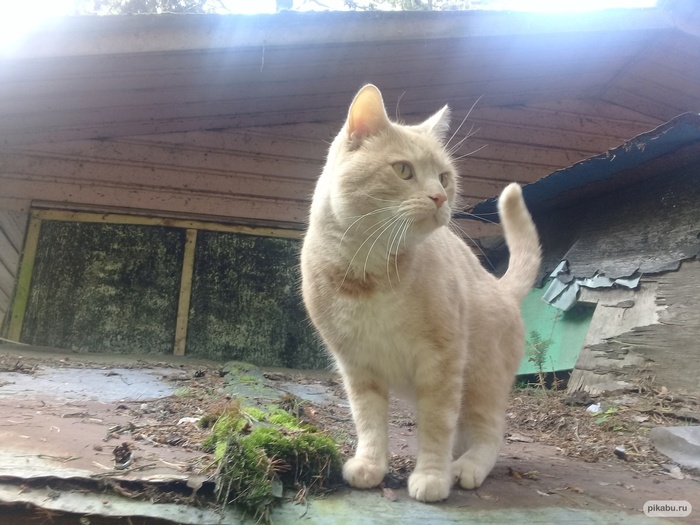 ���� �� ������