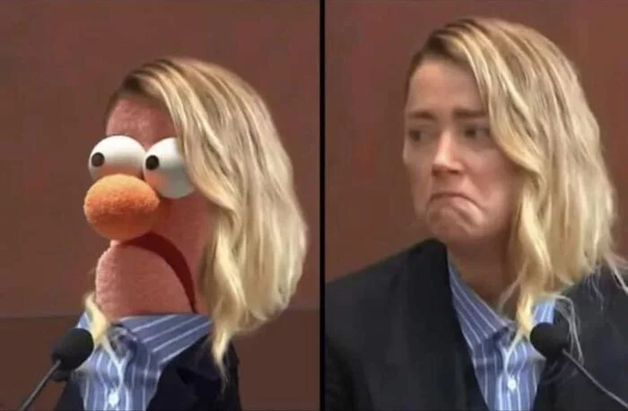 Amber Heard - Humor, Amber Heard, Court, Johnny Depp, Video, The Muppet Show