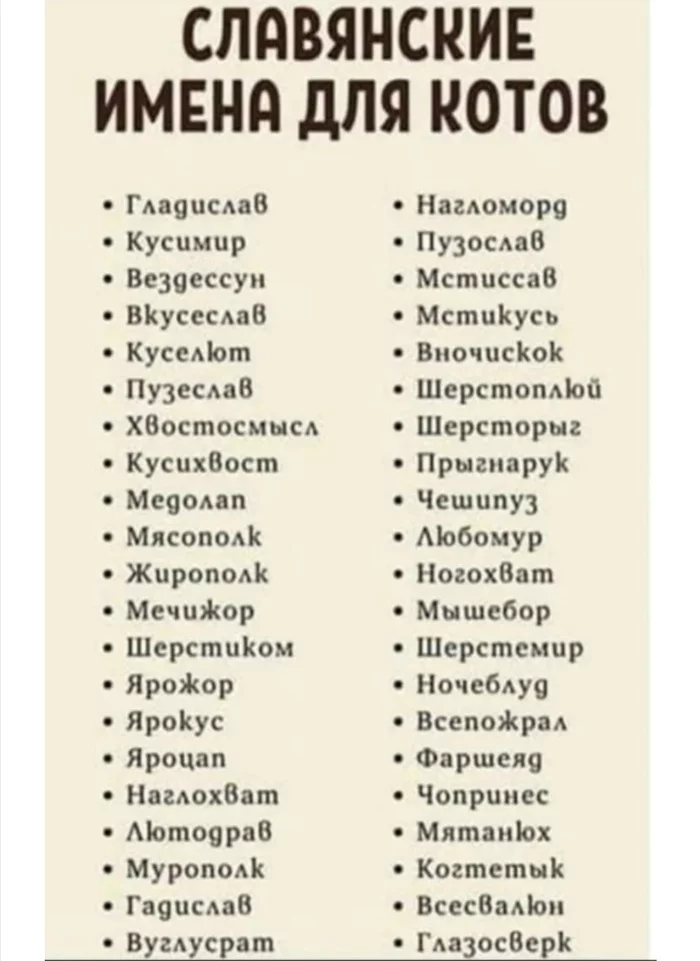 Памятка на случай появления кота в доме! - Кот, Славянские языки, Юмор