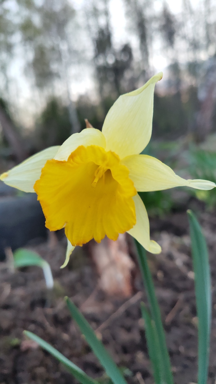 Просто хорошего вам вечера!