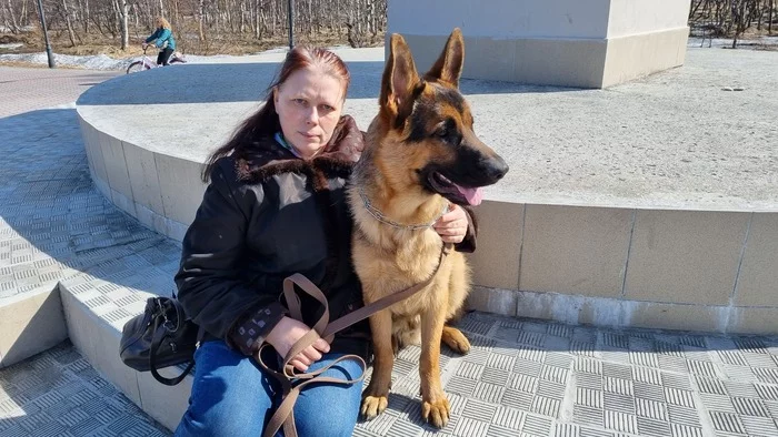 First walk without snow - My, German Shepherd, The photo, Dog