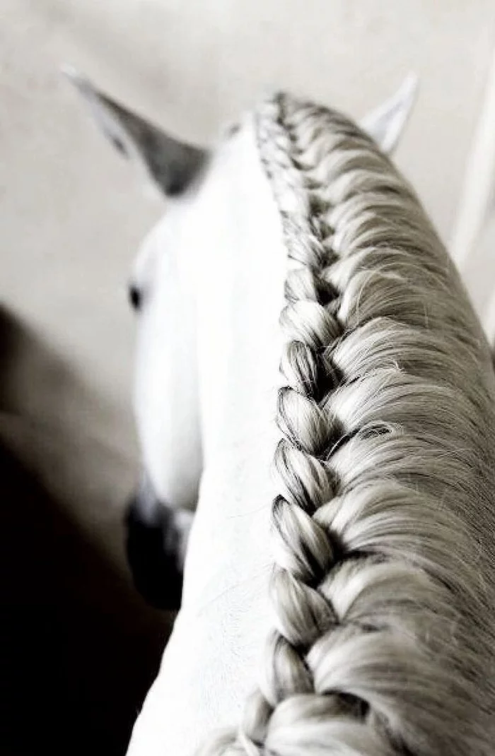 This is it, the art of weaving braids for horses - Horses, Mane, Прическа, Weaving, Scythe, Longpost