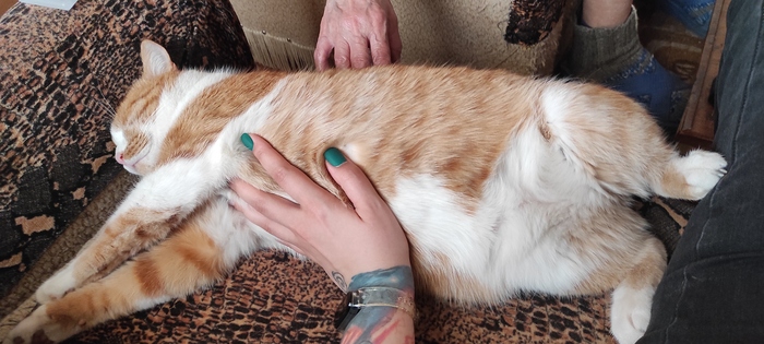 Поездка Саранск - Москва