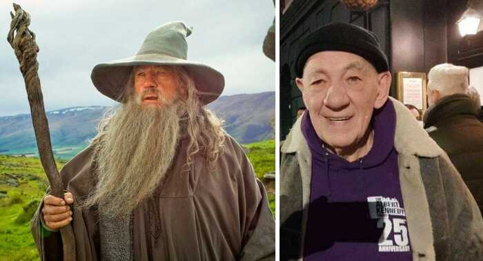 When you talked too much with hobbits - Ian McKellen, The hobbit, Gandalf