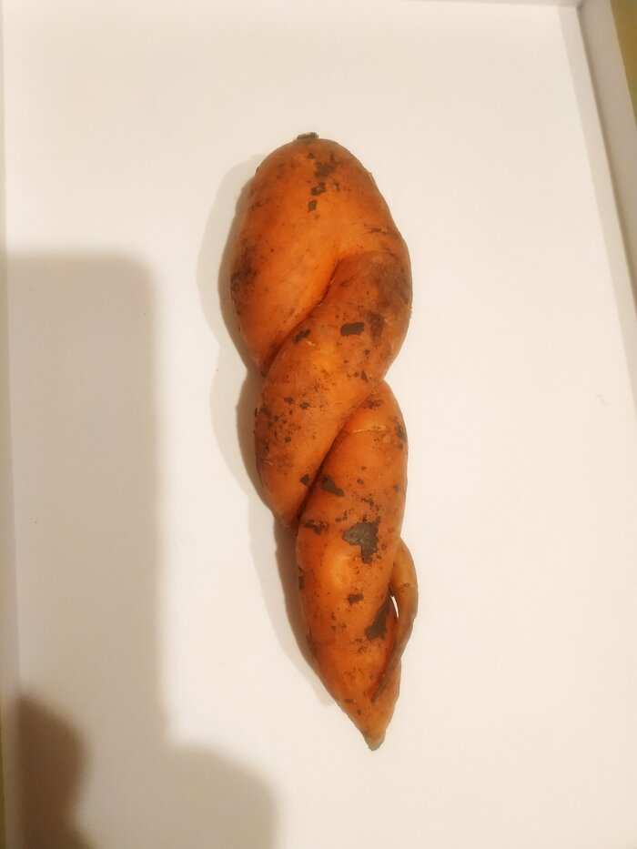     ,   , ,   , , 