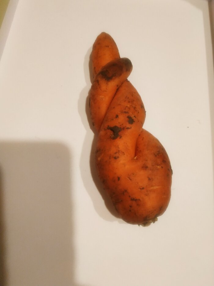     ,   , ,   , , 