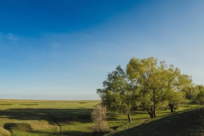 Far from the bustle of the city - My, Nikon, The photo, Photographer, Landscape, Kazakhstan, Uralsk, Longpost