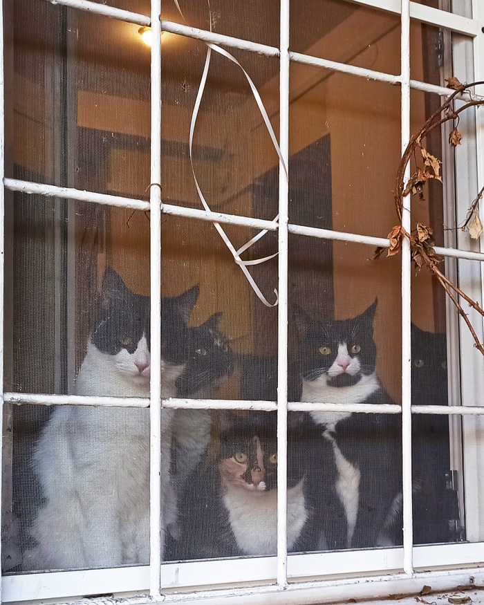 �� ��������