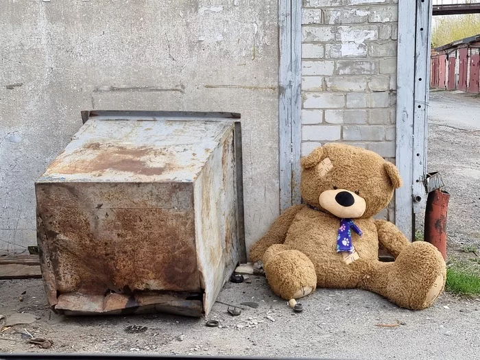 Dropped the bear on the floor... - Soft toy, The Bears, Strange humor, My