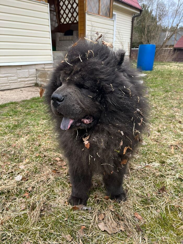 ��������� ������������ ������