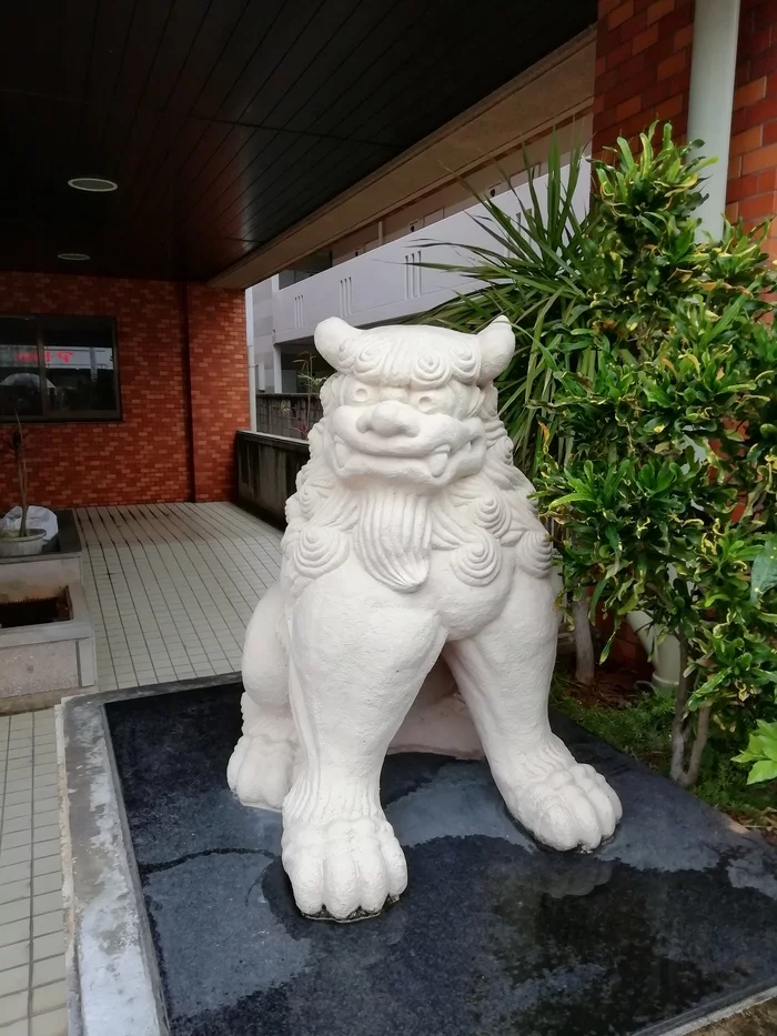 Idol Guardian Okinawa - My, Japan, Okinawa, Informative, A life, Mascot, The Dragon, Idol, Longpost