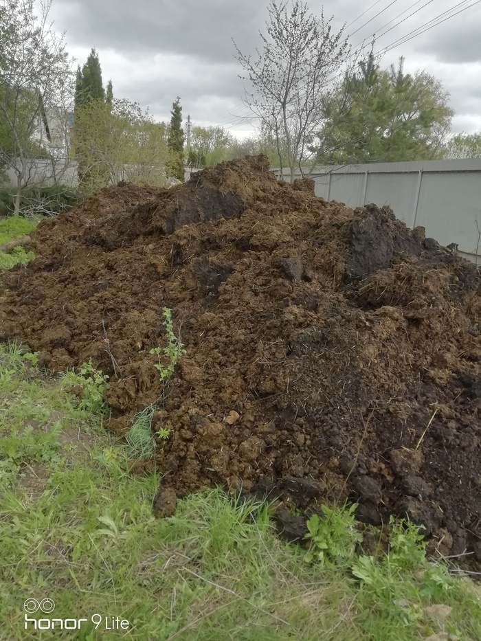 Меня чуть не изнасиловал мигрант