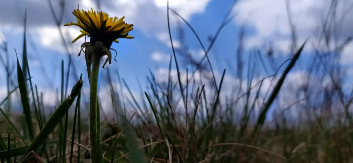 back side - My, Successful angle, Nature, Spring, beauty of nature, The nature of Russia