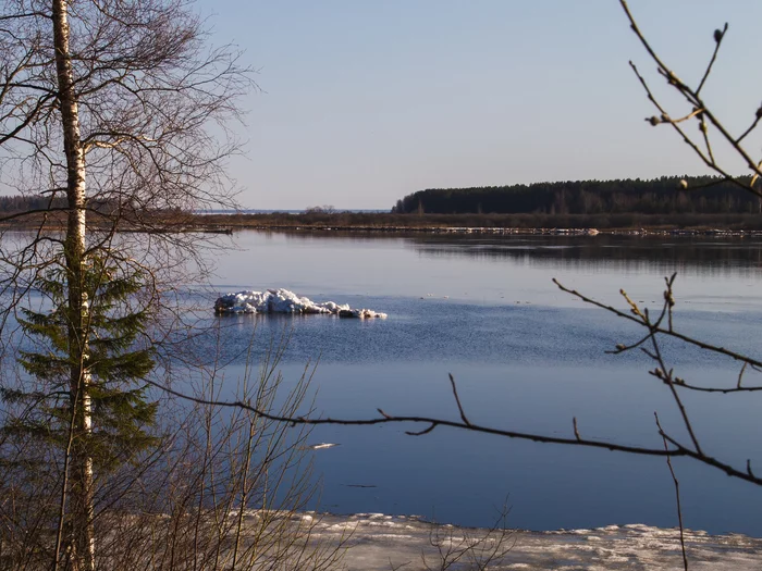 Mologa River - My, River, Mologa, Spring, Ice, Nature, Landscape, Canon 6d, The photo, Canon