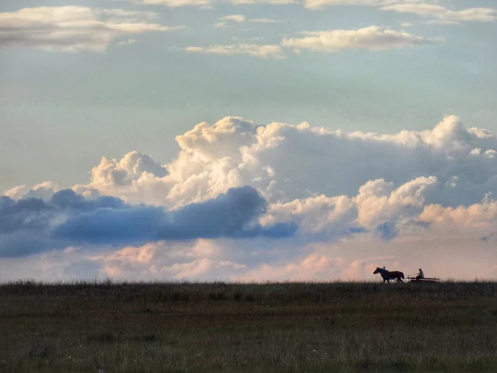 In field - Novosibirsk region, Field, Travel across Russia, The nature of Russia, Village, Clouds, The photo