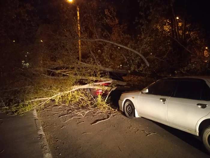 Consequences of yesterday's strong wind in Krasnoyarsk - My, Incident, Blockage, Hurricane, Krasnoyarsk