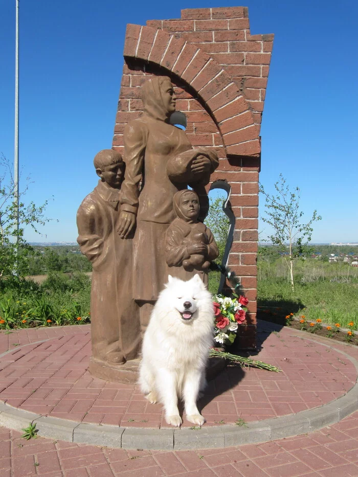 Monument Mothers and children of military Stalingrad - My, Samoyed, Dog, Dog North, The photo, Volzhsky, The park, Monument, May 9 - Victory Day, Longpost