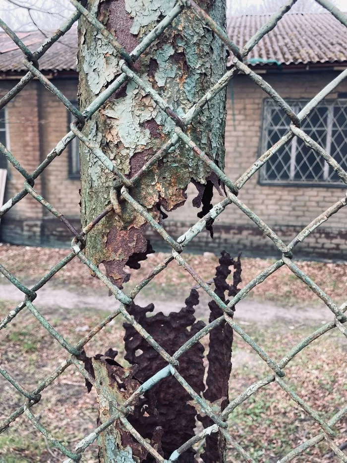 Schrodinger column - Pillar, Rust, Netting, Baltiysk, Mobile photography