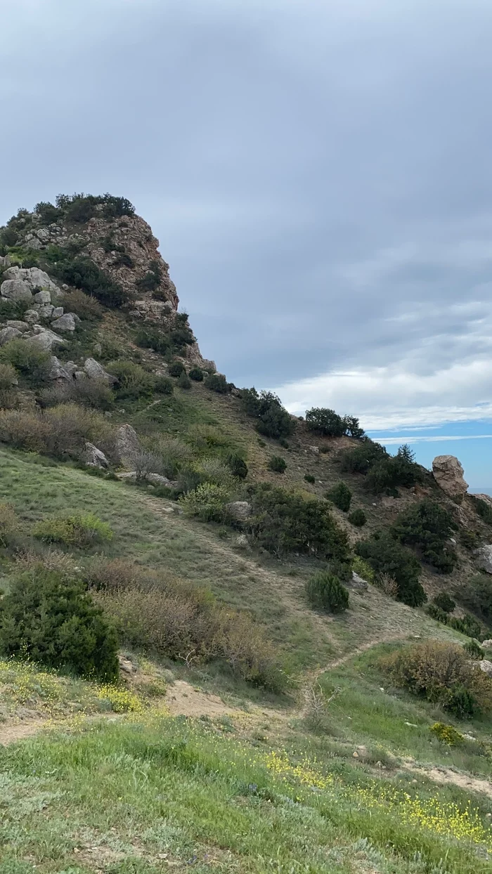 Crimea. - My, Balaclava, Crimea, The photo, Travels, Black Sea, Sevastopol, Longpost, The mountains, Poppy, Pointer, beauty of nature