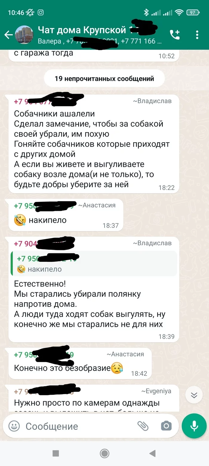 Sometimes it's fun in a house chat) part 2 - My, Neighbours, Chat room, Dog lovers, Omsk, I live here, Longpost, Mat, Toilet humor