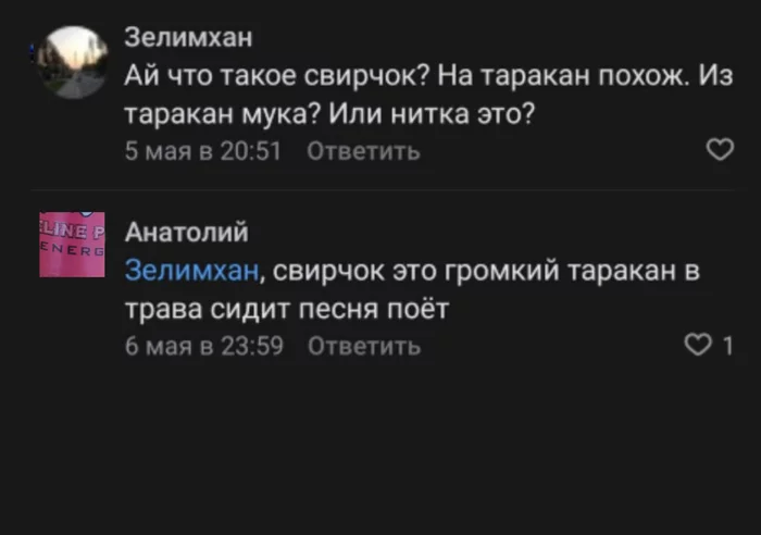 loud cockroach - Humor, Comments, Screenshot, In contact with, Russian language