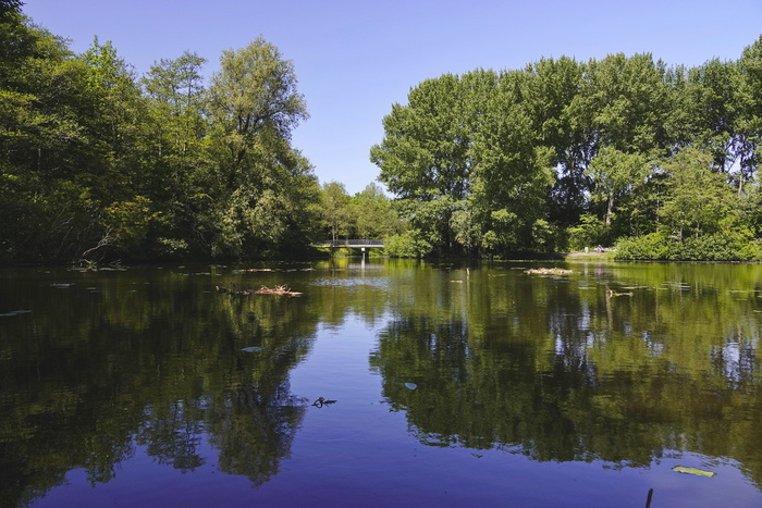 Весенний день в Голландии