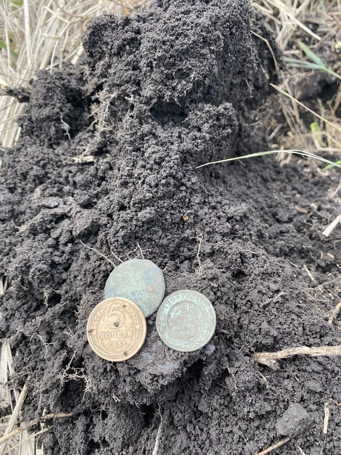 Went out for an hour to dig - My, Ancient coins, Nicholas II, Instrument search, Metal detector, Longpost