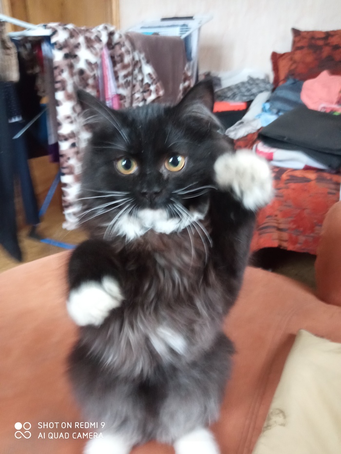 ����������...