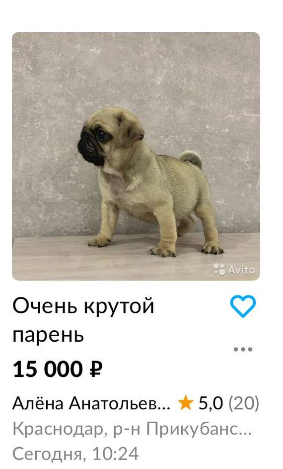 �������, ��������