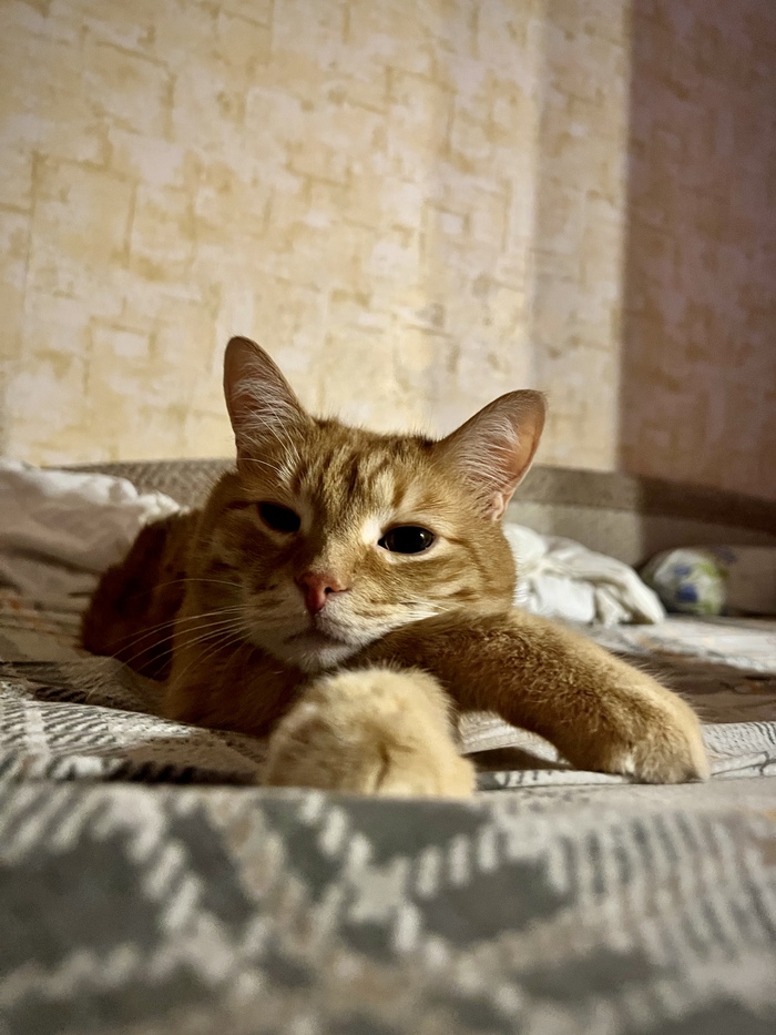 ��, � ���� �����������