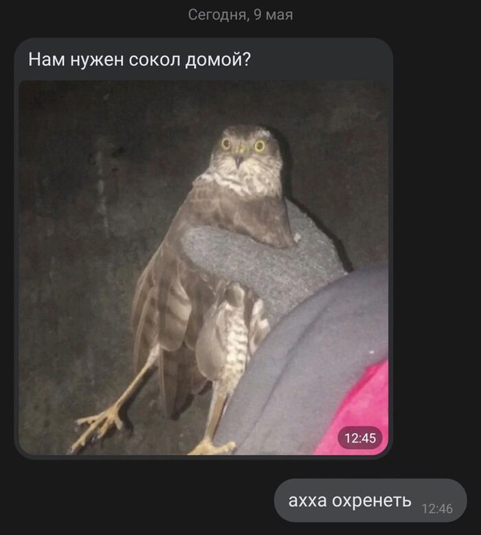   , , , 