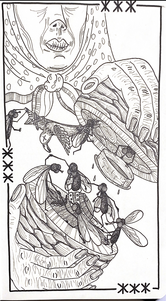 Сказка про 13 мух (иллюстрация)