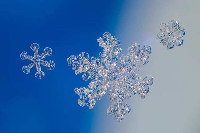 Snowflakes on glass - My, Nikon, Snowflake, Macro photography