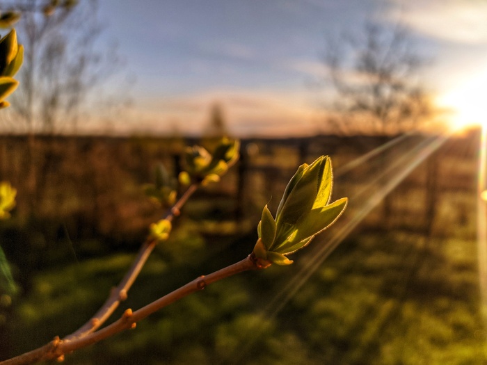 �� �������� ��������� ����������, �����, ���, �������