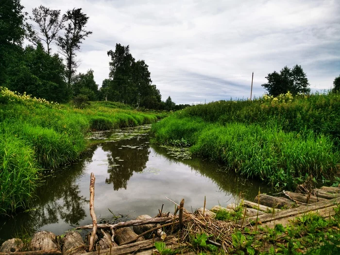 The sadness of forgotten villages - My, Abandoned, Village, Sadness, Nature, Longpost, The photo