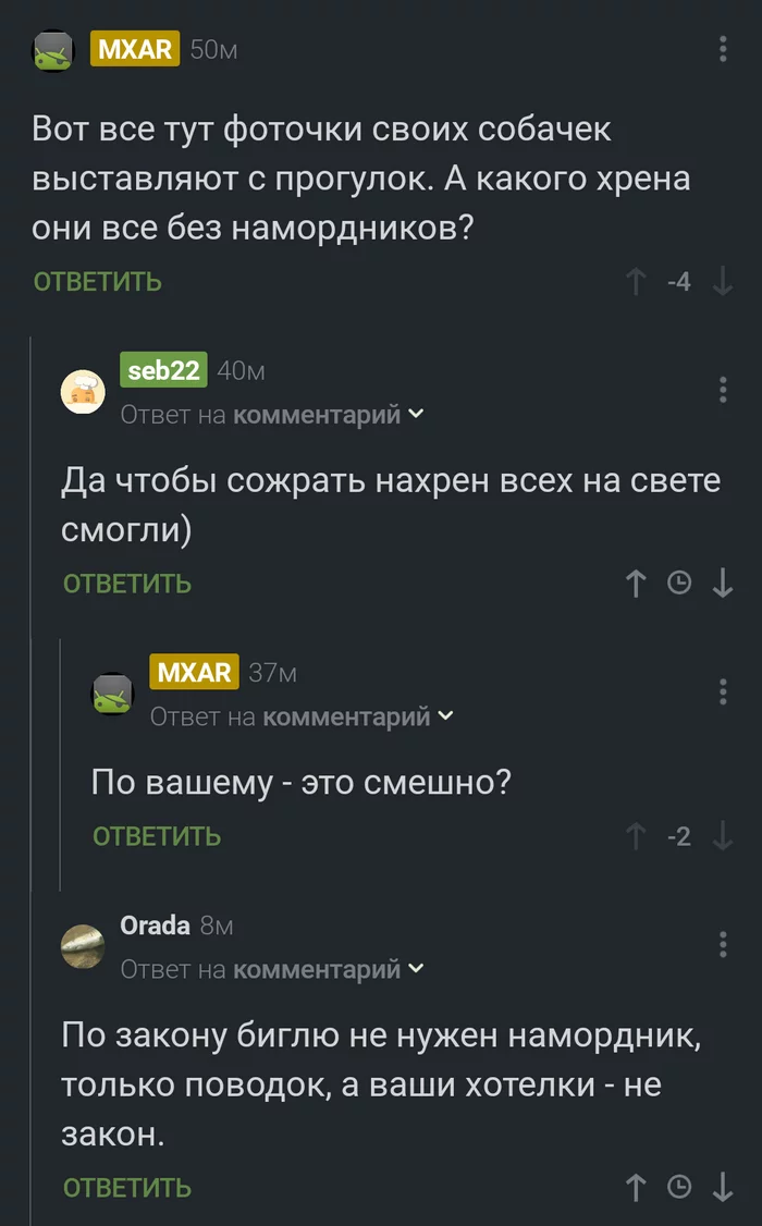 Дорогие пикабушники, кто всё-таки прав? - Собака, Спор, Намордник, Без намордника, Комментарии, Комментарии на Пикабу, Скриншот