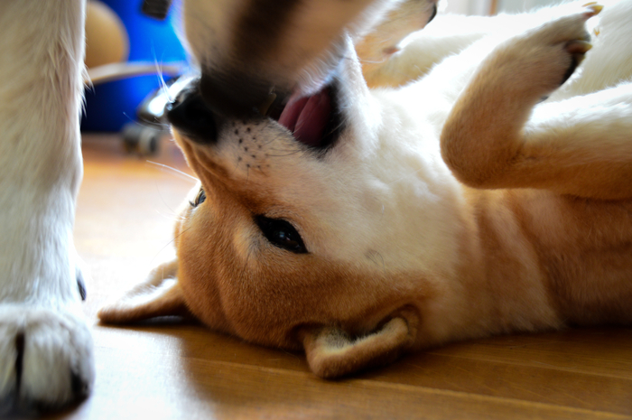 Немного домашнего насилия)