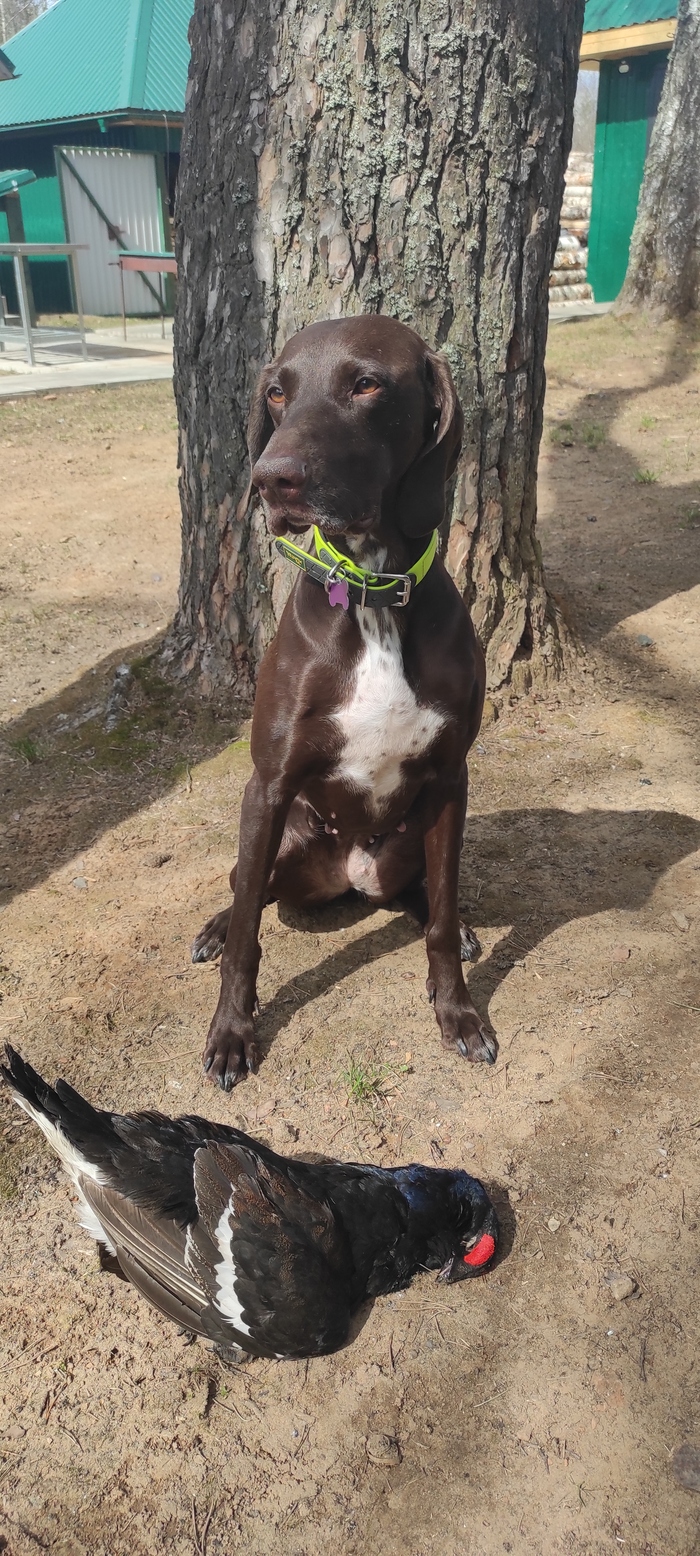 И стоило меня в час ночи будить?