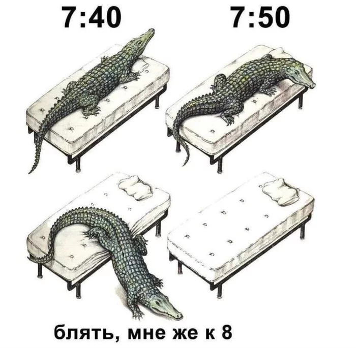 morning - Crocodiles, Bed, Morning, Picture with text, Mat, Codex Serafini