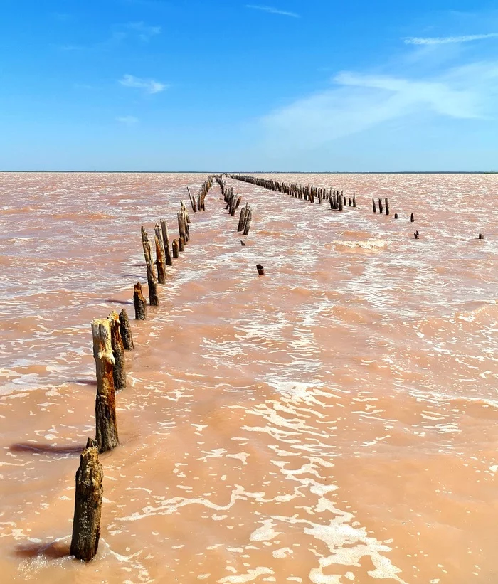 Pink lake. Sasyk-Sivash. Crimea - Crimea, Sasyk-Sivash, Pink Lake, Travels, Drive, The photo, Beautiful