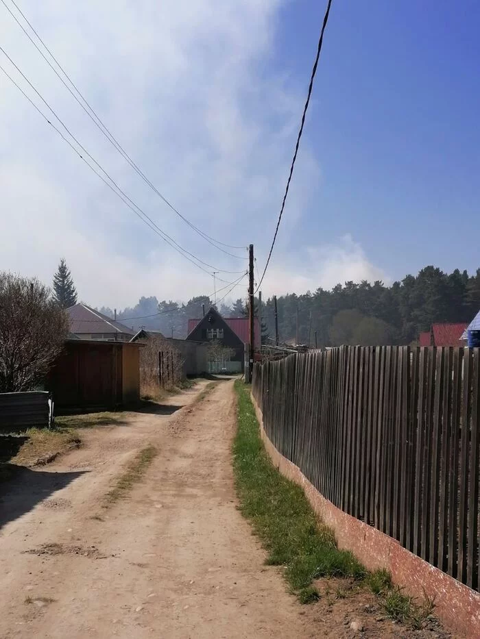 Fire, a terrible force (burned my favorite corner of the forest (( - My, Longpost, Fire, Irkutsk region, Shelekhov, Animals, Forest, Firefighters, Video, Vertical video