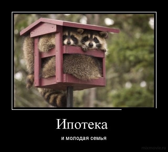 Help good people... - Advice, The property, Apartment, Mortgage, Moscow, Raccoon, Demotivator