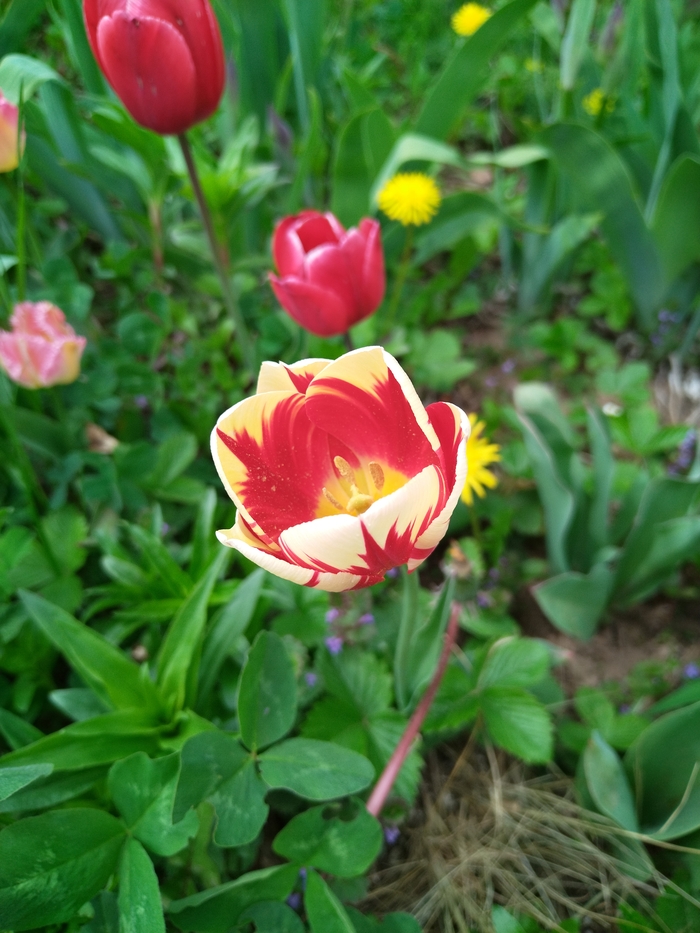 ���������