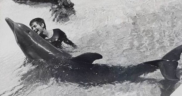 Маргарет Хоу Ловатт и её интимная связь с дельфином История, Дельфин, Эксперимент, 60-е, NASA, Познавательно, Длиннопост