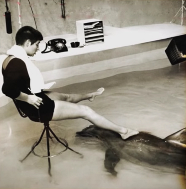 Маргарет Хоу Ловатт и её интимная связь с дельфином История, Дельфин, Эксперимент, 60-е, NASA, Познавательно, Длиннопост