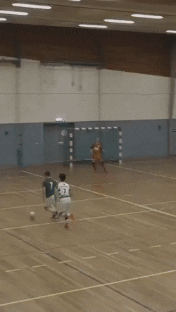 GIFs of the day - GIF, miscellanea, Assorted, Longpost