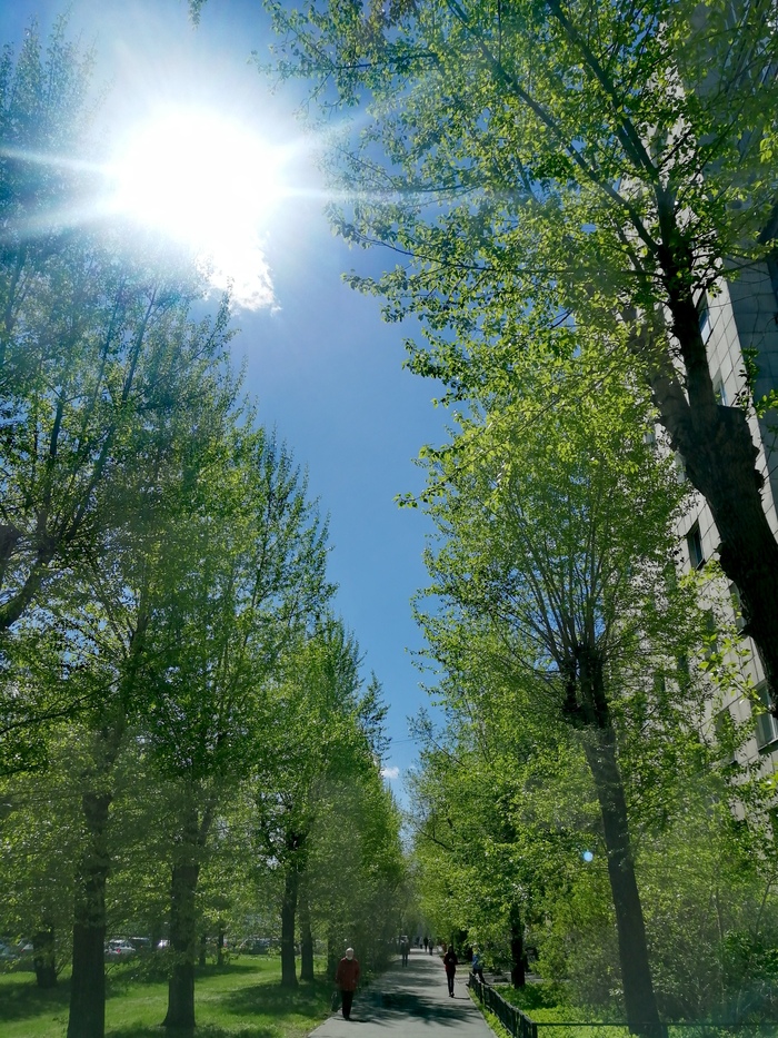    , ,  ,  , ,  