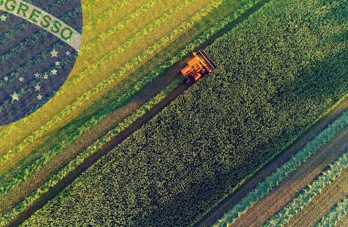 Soybean harvest in Brazil next season will be 146 million tons - Brazil, Сельское хозяйство, Soy, Economy, Production, Harvest, news