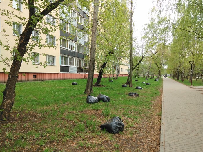 Весенний пейзаж